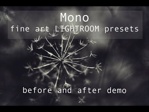 Mono Fine Art Lightroom Presets, a Preset Add-On by dyrkwyst textures (Thumbnail 4 of 11)