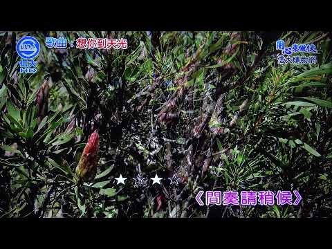 雅鈞 想你到天光(江蕙)110/11/10