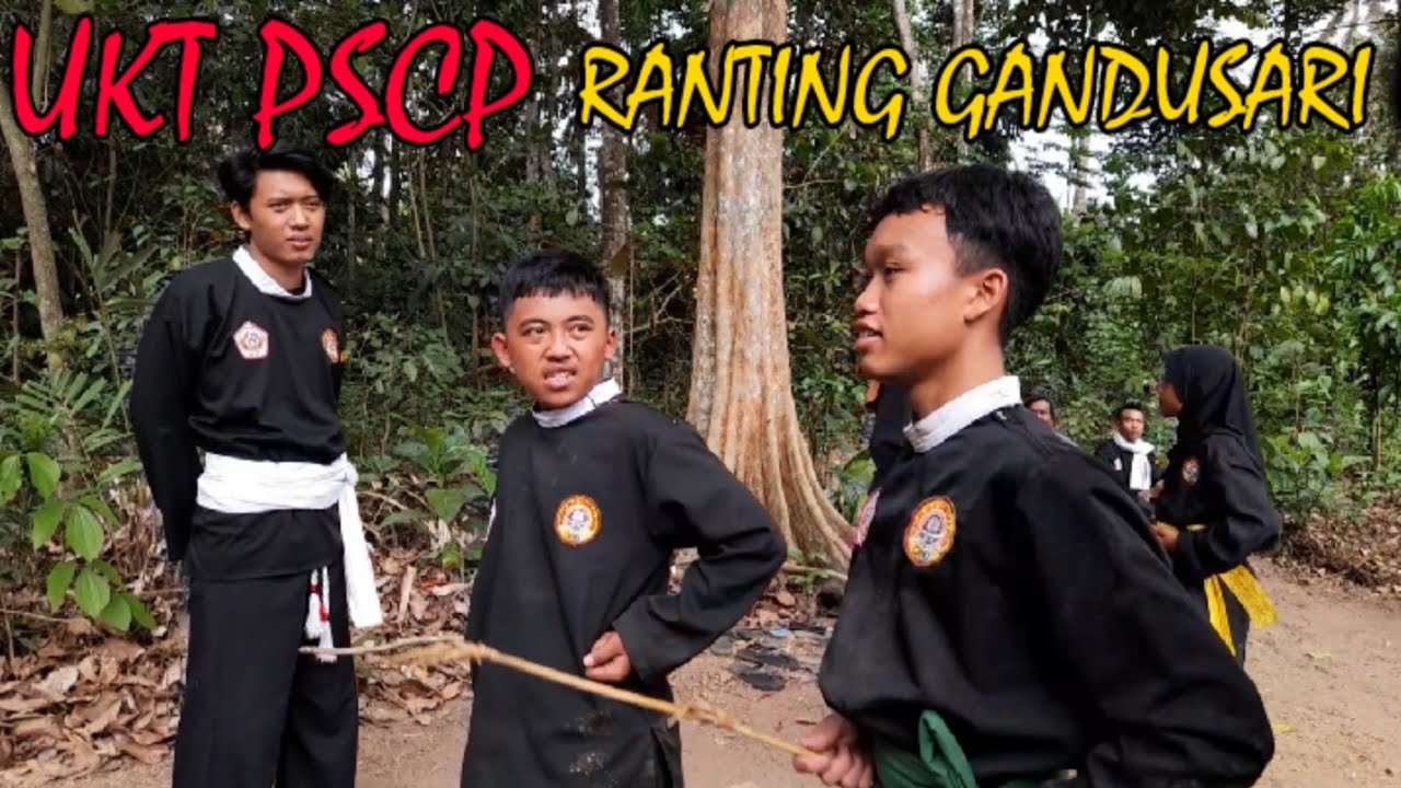 UJIAN KENAIKAN TINGKAT PENCAK SILAT CEMPAKA PUTIH || RANTING GANDUSARI