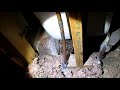 Repair vs Re plumb House Slab Water Leak Using PEX Plumbing Pipe Run Through Attic Walls Episode 80