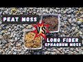 Peat moss vs sphagnum moss best venus flytrap soil mix substrate  what is the difference