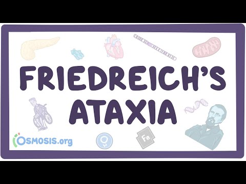 Friedreich&rsquo;s ataxia - ਕਾਰਨ, ਲੱਛਣ, ਨਿਦਾਨ, ਇਲਾਜ, ਰੋਗ ਵਿਗਿਆਨ