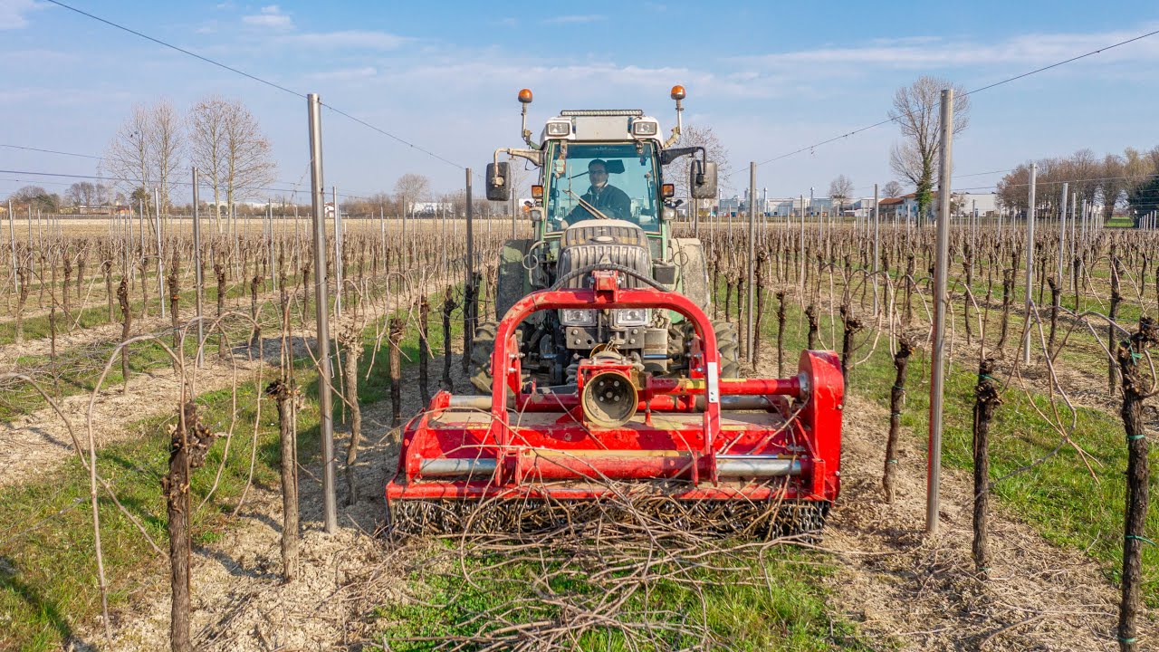 *TOP* Fendt 211 P | Angeloni | Trelleborg PneuTrac | AIA RICCI