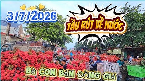 TÀU RÚT HÀNG LOẠT BÀ CON BÁN VẢI LỤC NGẠN ĐỒNG GIÁ I NÚI ĐỒI LỤC NGẠN