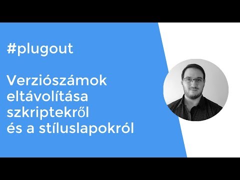 Plugout #3 Verziószámok eltávolítása a szkriptekről és a stíluslapokról