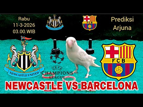 agodatoto x bandatoto - Newcastle vs Barcelona || 16 Besar UEFA Champions League 2026 || Prediksi Akurat Versi Arjuna