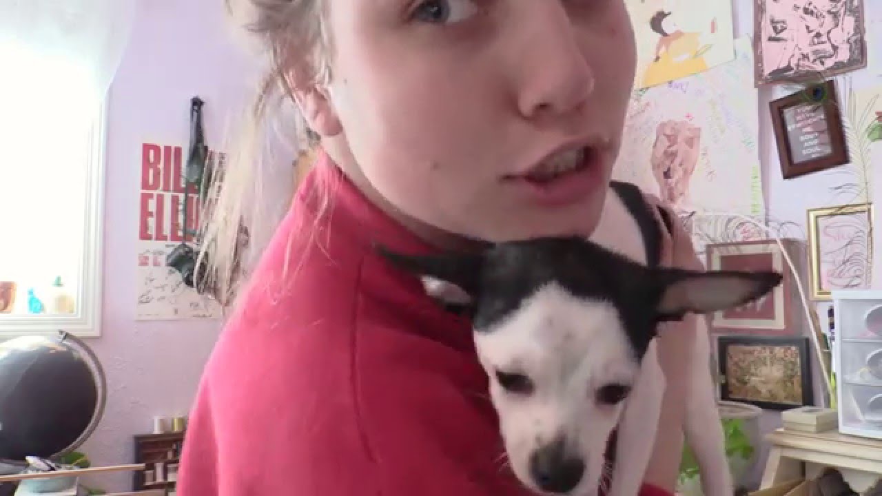 MEET MY NEW PUPPY!!! Random Video Monday - MEET MY NEW PUPPY!!! Random Video Monday