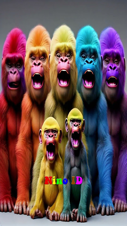Colorful Gorilla | Colorful Animals #ninoid #animals #colorfulanimals #videosforkids
