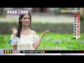 賞花經濟持續綻放 農村翻身觀光景點@newsebc