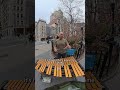 Surprised a xylophone artist•#xylophone #streetartnyc #music