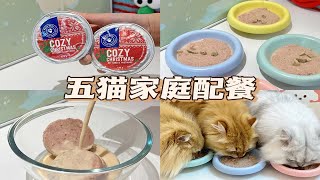 五猫家庭配餐｜一顿饭餐标竟然要108！ by Gu Xiaopang in the kitchen 86 views 3 weeks ago 2 minutes, 7 seconds