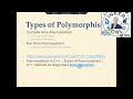 polymorphism in c++