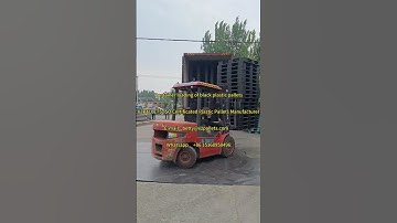 container loading of plastic pallets #container #loading #production #china #factory #india