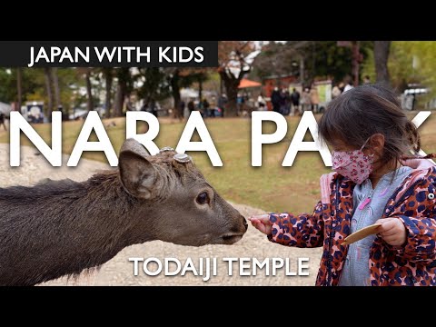 Visiting Japan's Nara Park Deer and Todaiji Temple