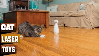 Laser Toys For Cats : You Should Try at least Once!