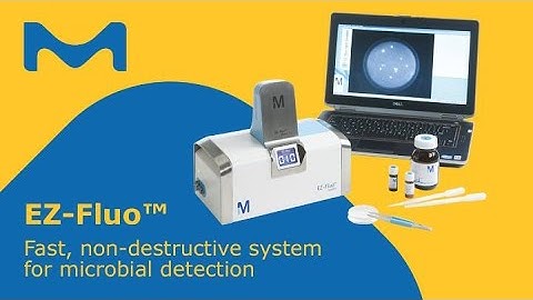 Rapid microbial detection for bioburden testing in food & beverage QC laboratories