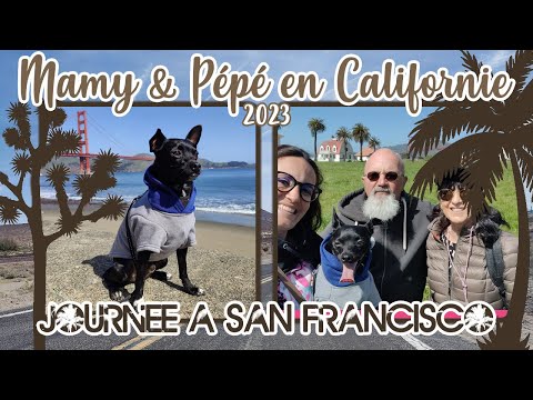 Vidéo: 14 voyages d'une journée au départ de San Francisco