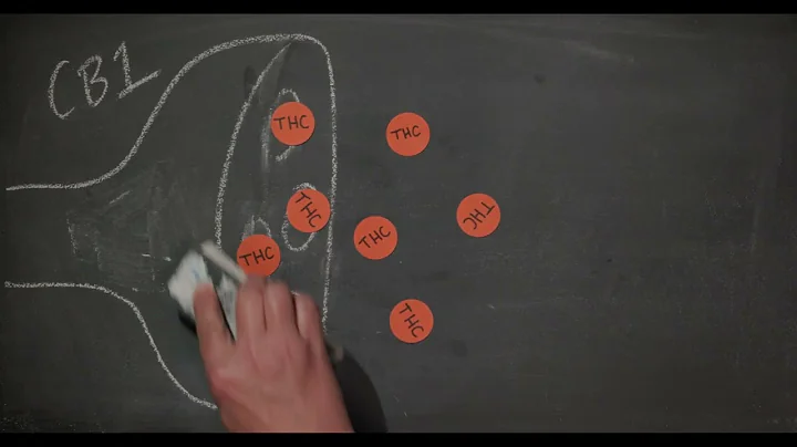 02 How Cannabis Works: What Tolerance Is
