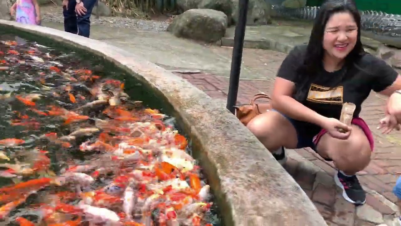 Davao Crocodile Park - Daisy’s Post Birthday Celebration