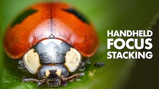 Handheld Macro Photography Focus Stacking in Photoshop – Tutorial