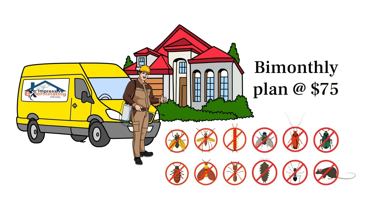 Certified Termite Inspector in Norwalk, California