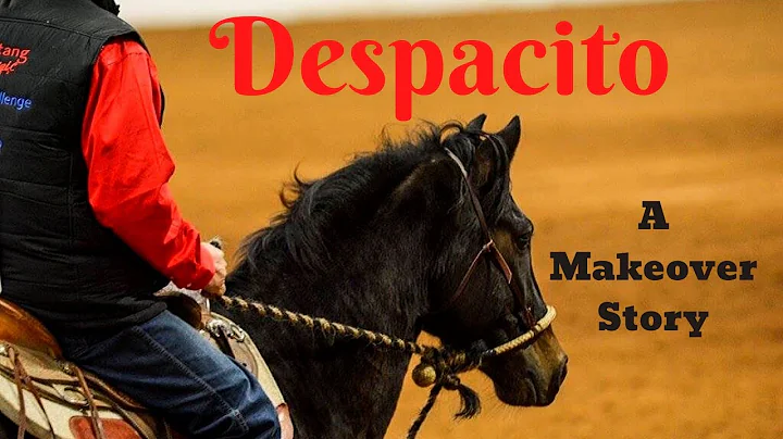 Despacito's Mustang Magic Makeover story, from cra...