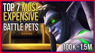 Top 7 Most Expensive Pets in WoW - And How to Farm Them!