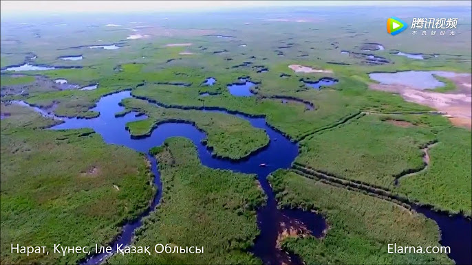 Үлкен мүшесі бар үлкен секс фотосы