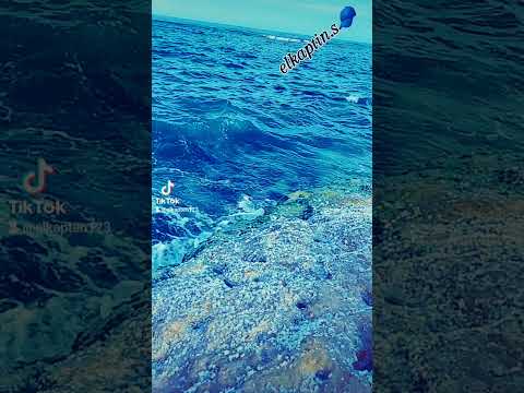 يابحر يا ابو البحور