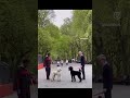 Central Park meet cute #shorts #animals #funny