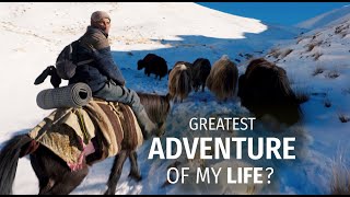 We Went Hunting for Yaks in the Mountains of Zanskar by India In Motion 193,449 views 1 year ago 15 minutes