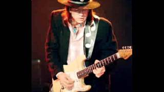 Honey Bee-Stevie Ray Vaughan and Double Trouble chords