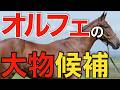 オルフェーヴル産駒にとんでもない逸材が現れた…父譲りの走りっぷり。