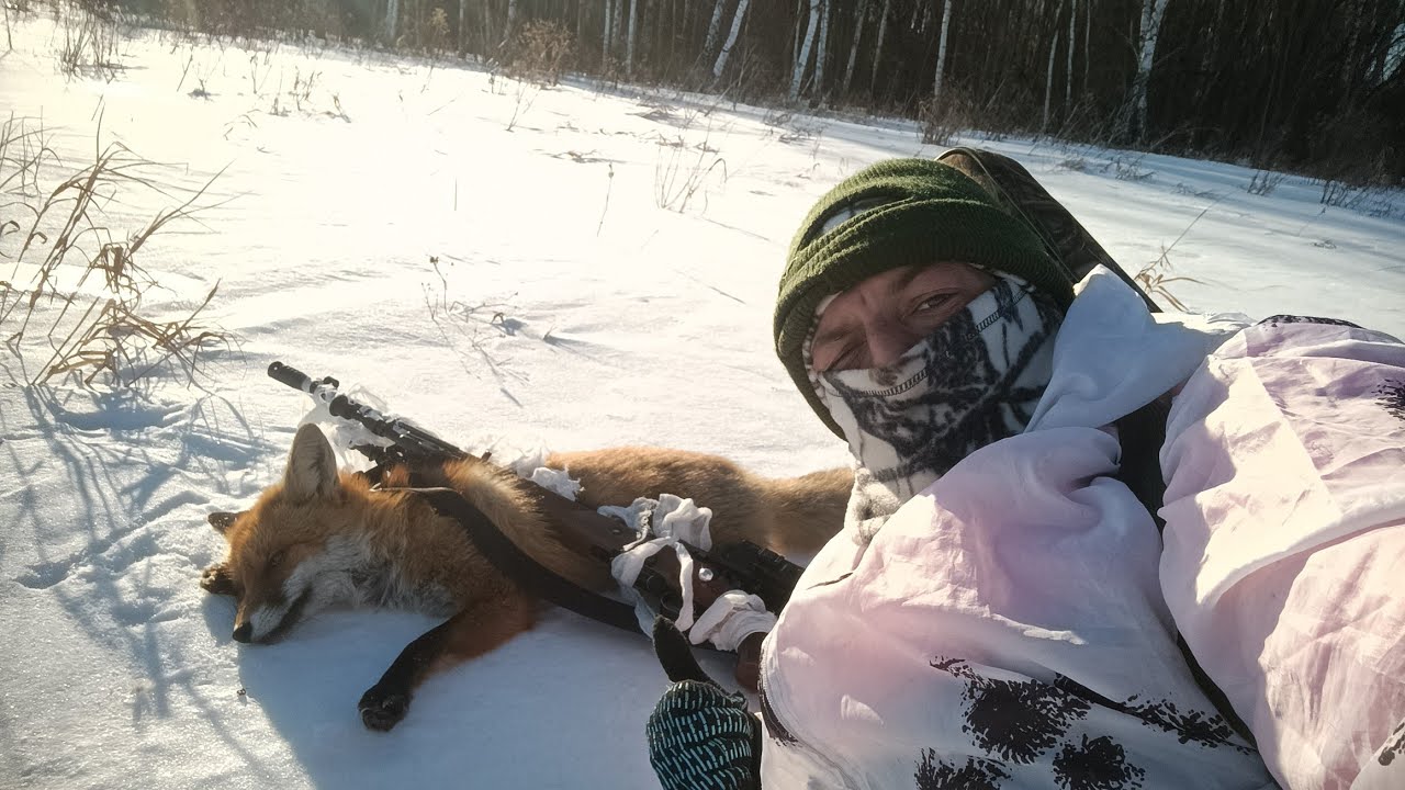 ОХОТА НА ЛИСУ, 2026г. НА МАНИЛ ЛИСА ГОЛОСОМ ЛИСА, В ПЕРИОД ГОНА.