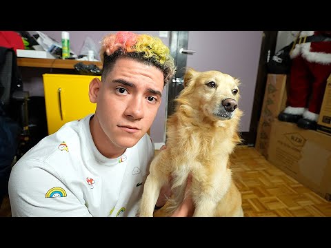 MI PERRO BROWN MURIO? - TheDonato