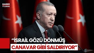Cumhurbaşkanı Erdoğan: İsrail Bölgeyi Ateşe Atma Gayretinde Resimi