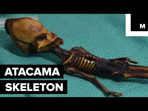 Video: The Alien Mummy Turns Into An Unknown Species Of Man - Alternative View