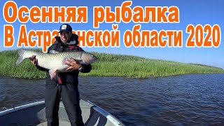 Осенняя рыбалка в Астраханской области 2020