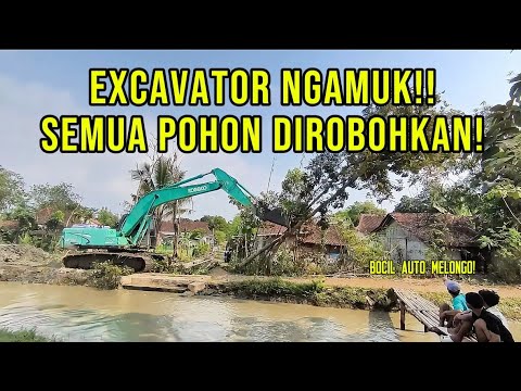 BANYAK POHON ALAT BERAT NGAMUK ROBOHIN SEMUA POHON YANG MENGHALANGI