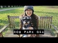 Qa in the famous dog park  meiying chow