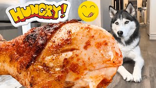 Dog Eating Turkey Legs asmr #siberianhusky