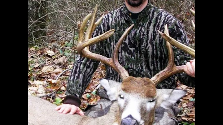 130 TODD MEAD - Deer Hunting the Adirondacks, Pen,...