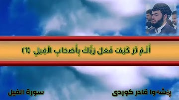 سورة الفيل پێشەوا قادر