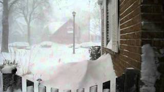 Snowpocalypse 2011