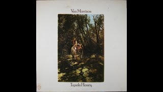 1971 - Van Morrison - You&#39;re my woman
