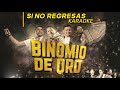 Karaoke Si no Regresas (coros) - Binomio de Oro