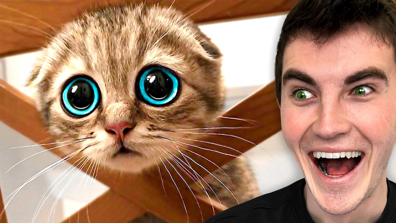 Les ANIMAUX les plus MIGNONS sur Terre!