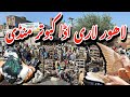       lahore lari adda kabootar mandi latest update