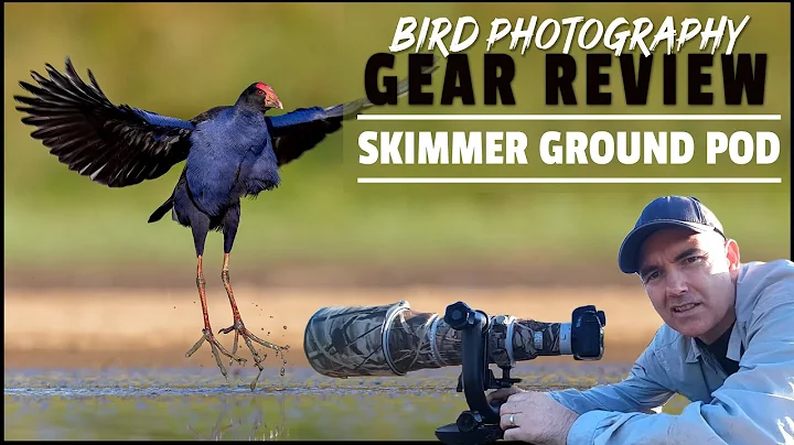 Bird Photography Gear Review - Skimmer Ground Pod - Why You Need One For Low Angle Shots. - DayDayNews