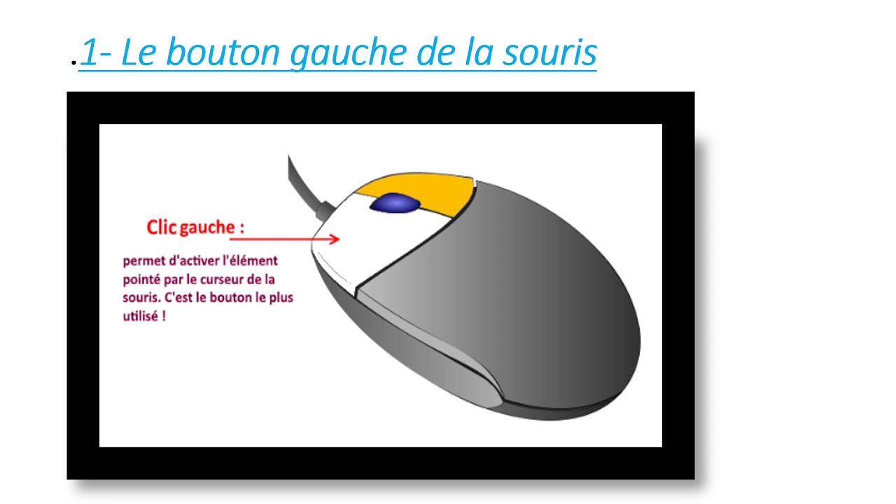Les composant de la souris - YouTube